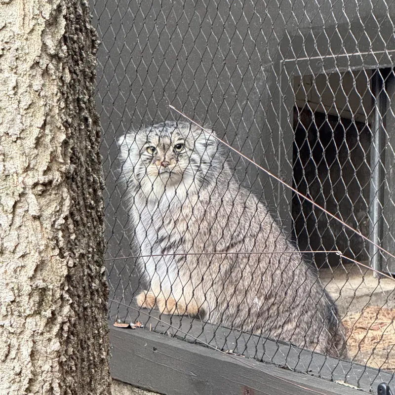 プロスペクト・パーク動物園のサルナイの写真