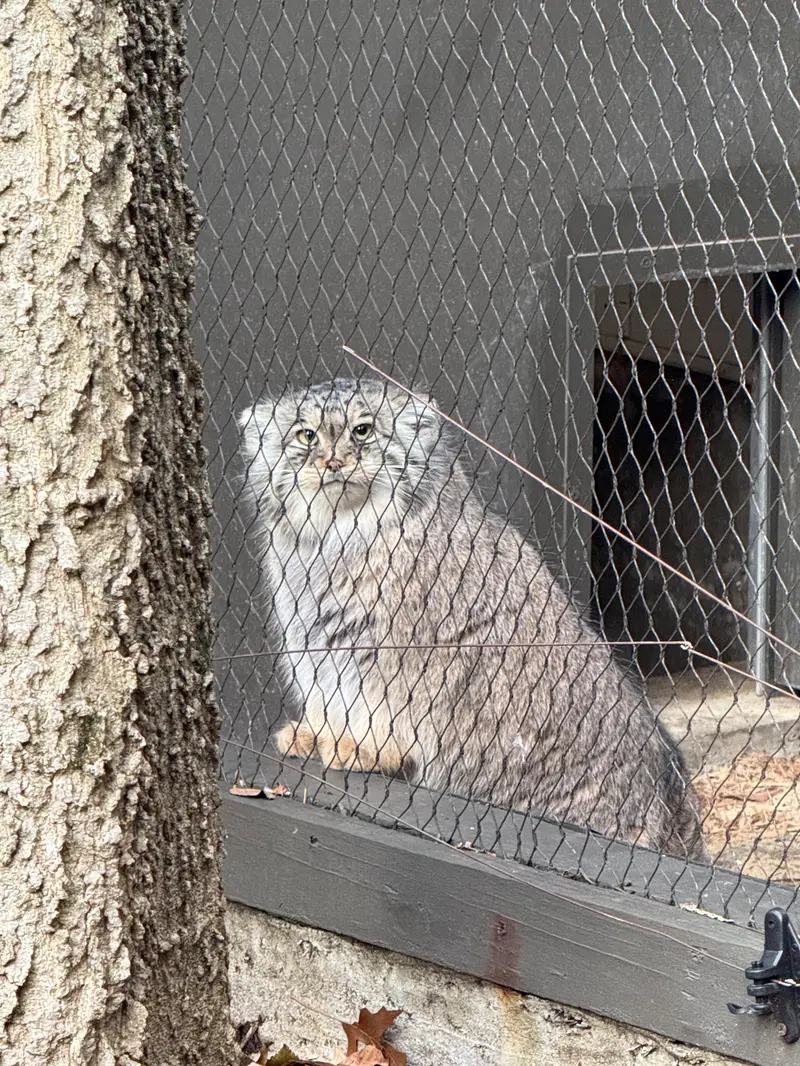 プロスペクト・パーク動物園のサルナイの写真