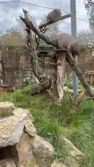 初めてのマヌル巡礼!