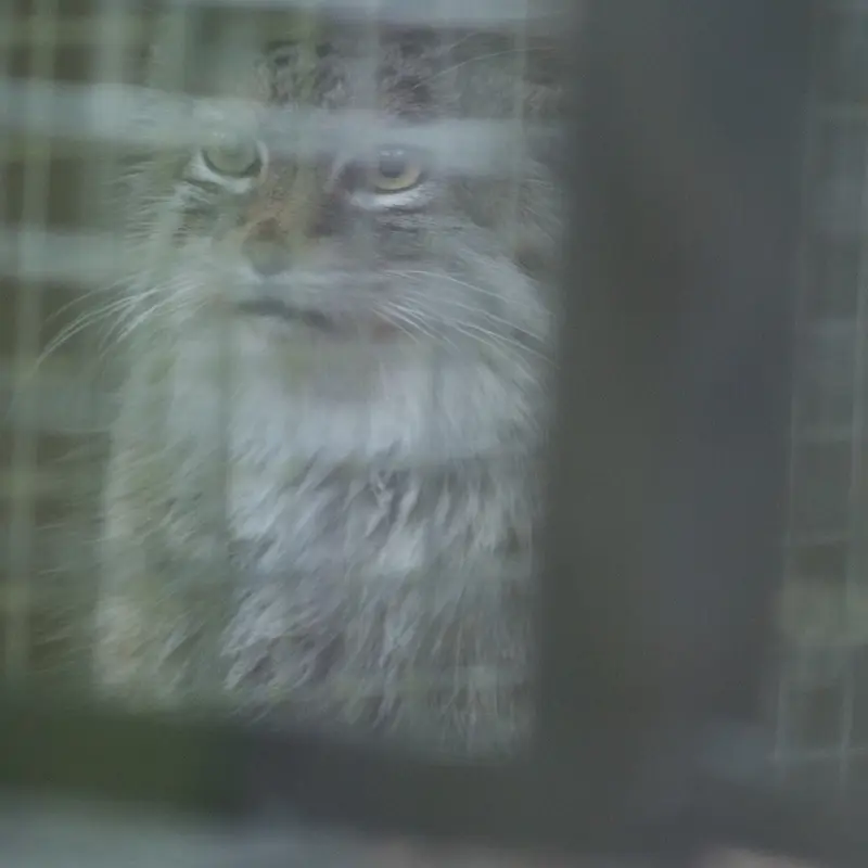 埼玉県こども動物自然公園のオリーヴァの写真