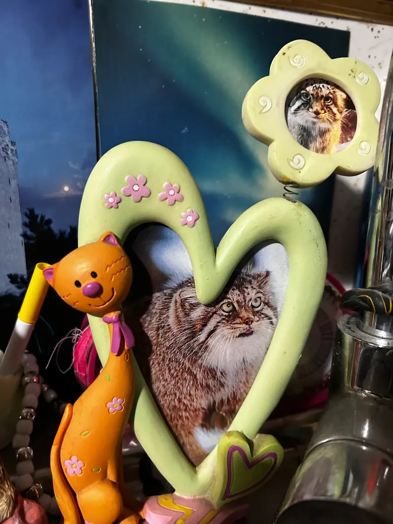 ボルとポリーの写真