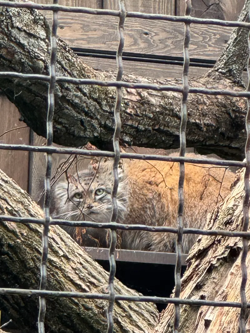 ワルシャワ動物園のジェシーの写真