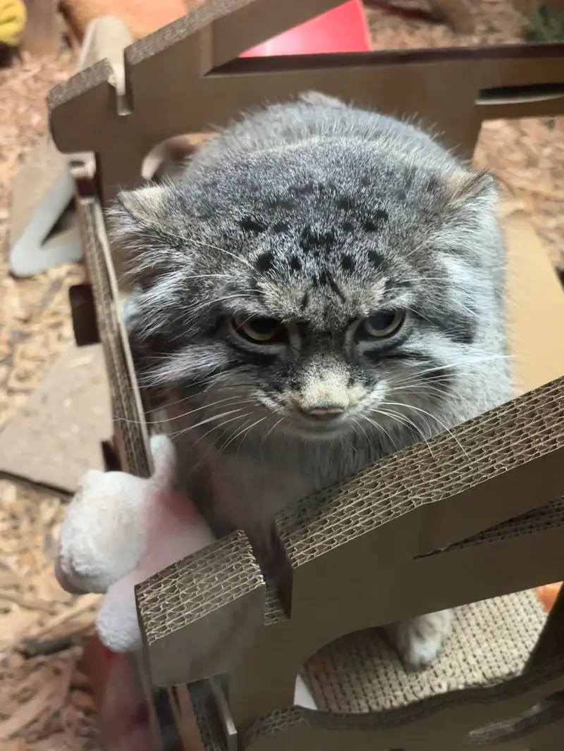 スペリオル湖動物園のパブの写真