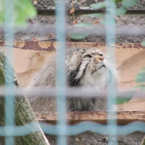 マクデブルク動物園のジョナサンの写真