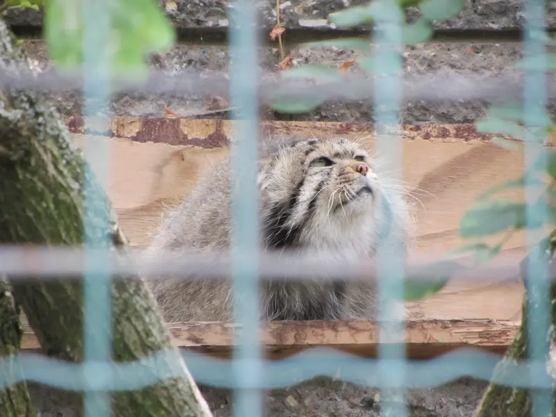 マクデブルク動物園のジョナサンの写真