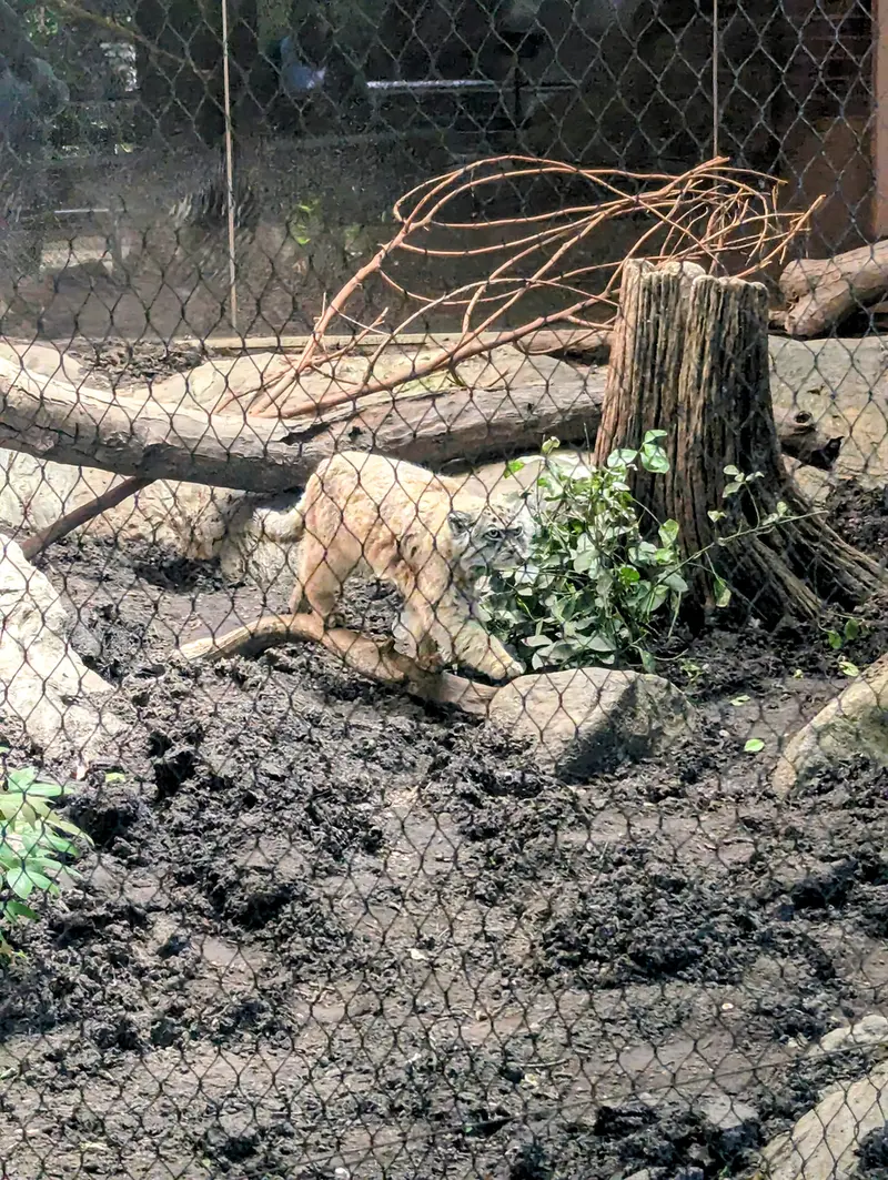 プロスペクト・パーク動物園のサルナイの写真