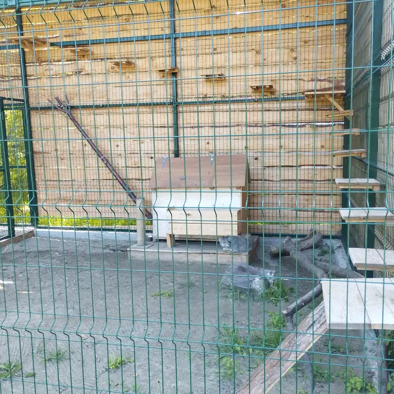 バルナウル動物園「レースナヤ・スカースカ」のチップの写真