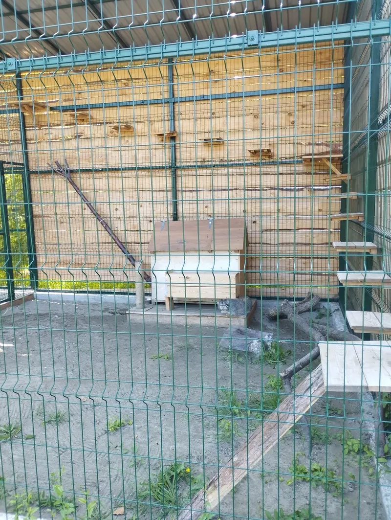 バルナウル動物園「レースナヤ・スカースカ」のチップの写真