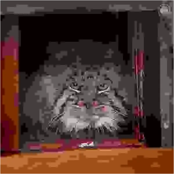 マヌルネコの写真