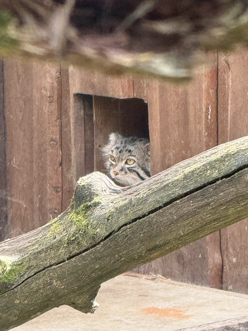 タリン動物園のマーズの写真