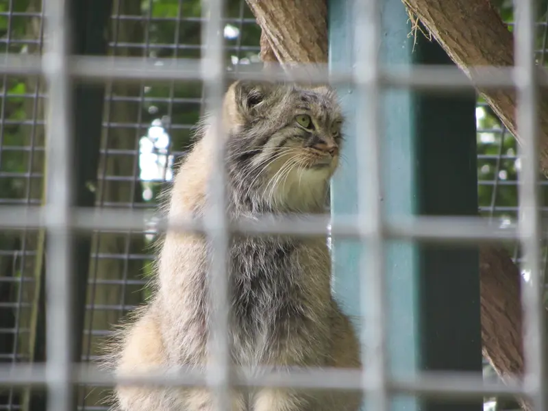 ザールブリュッケン動物園のカール・ハインツの写真
