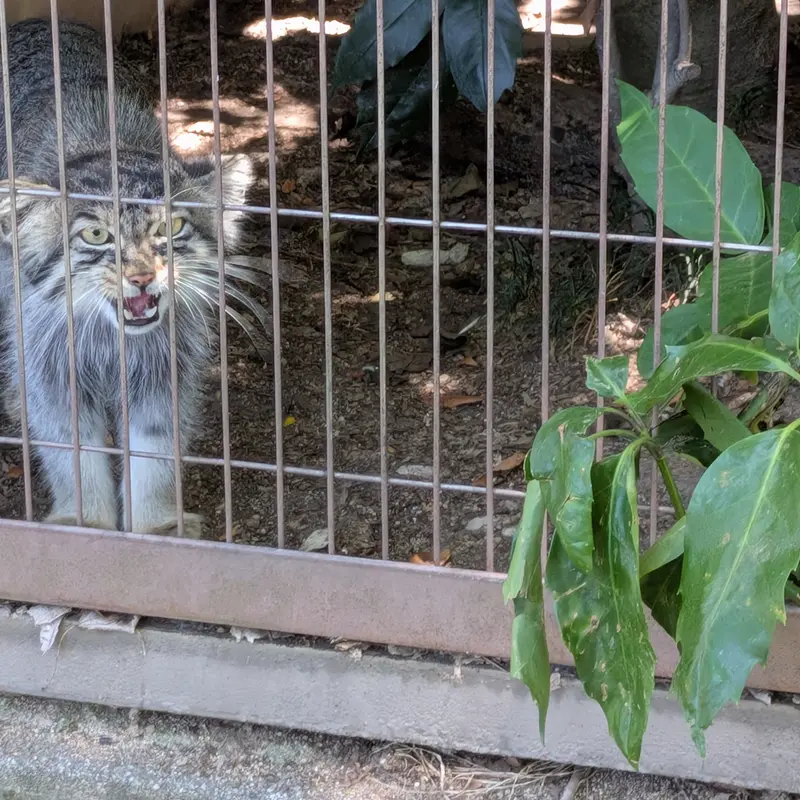 東山動植物園のノブの写真