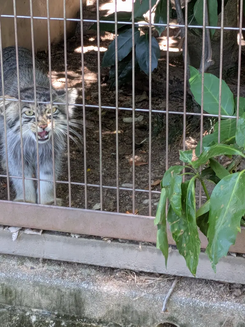 東山動植物園のノブの写真