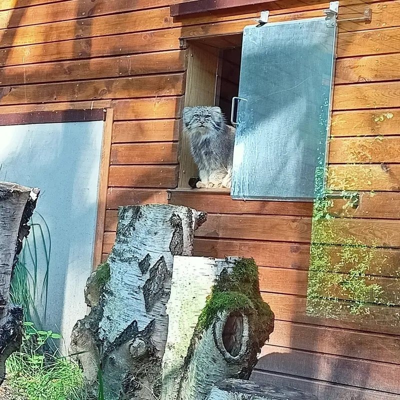 グダニスク動物園のマヌエルの写真