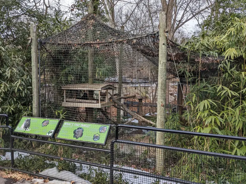 スミソニアン国立動物園のマヌルネコの写真