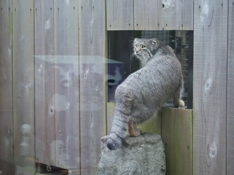 埼玉県こども動物自然公園のオトの写真