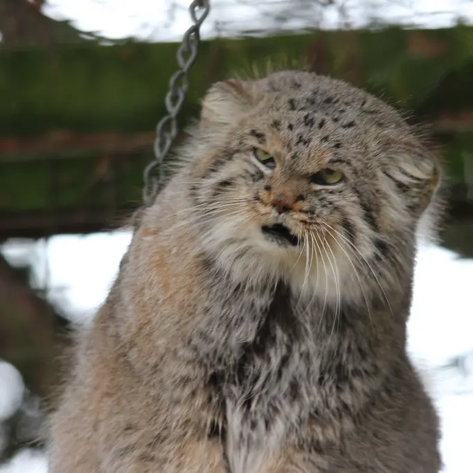 バナム動物園のバックの写真