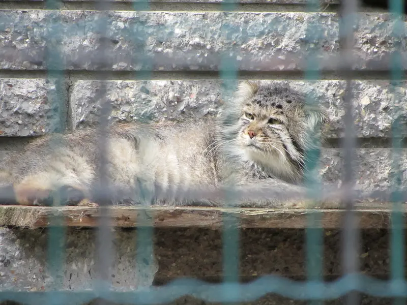 マクデブルク動物園のジョナサンの写真