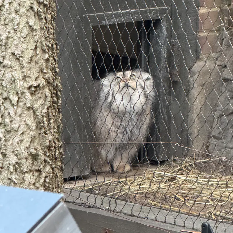 プロスペクト・パーク動物園のサルナイの写真