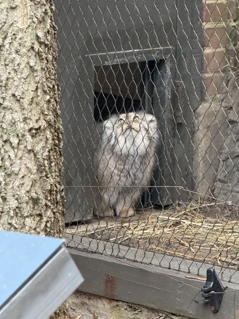 プロスペクト・パーク動物園のサルナイの写真