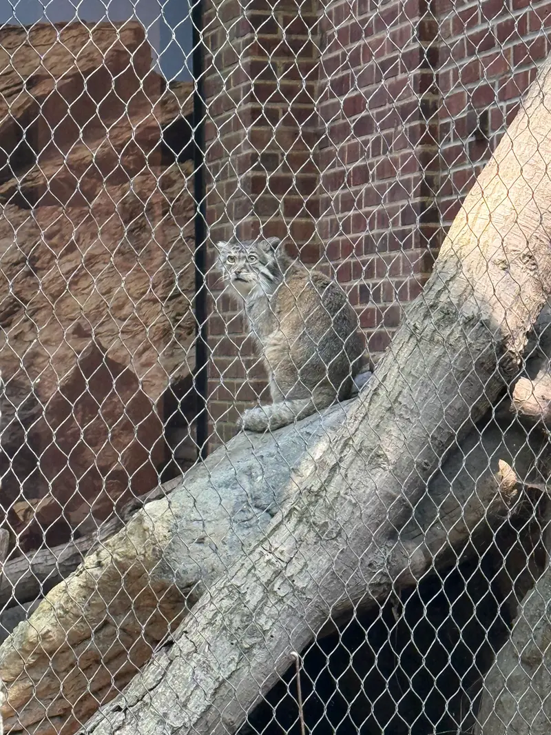プロスペクト・パーク動物園のバトゥの写真