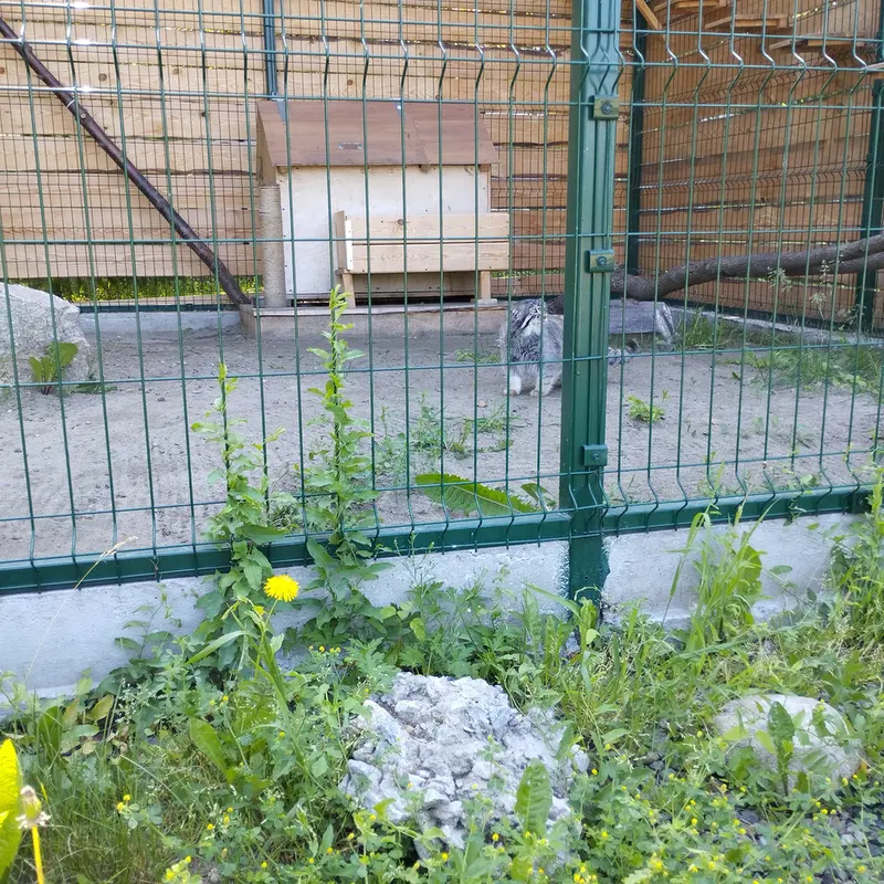 バルナウル動物園「レースナヤ・スカースカ」のチップの写真