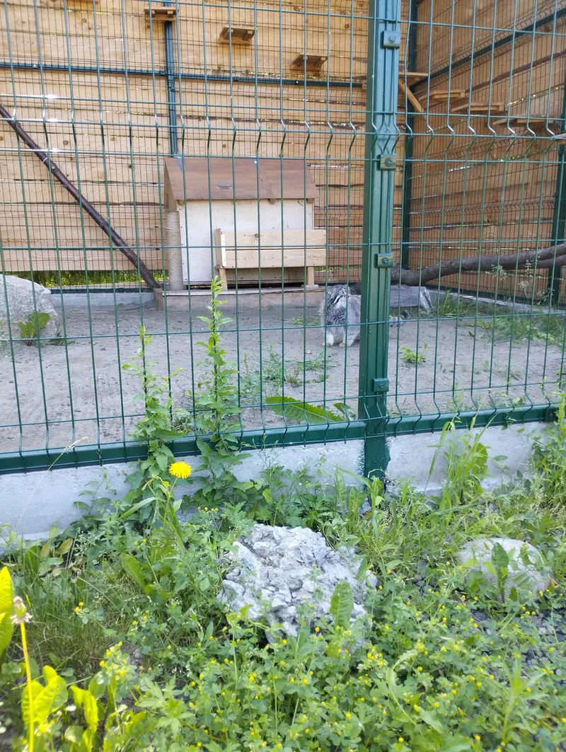 バルナウル動物園「レースナヤ・スカースカ」のチップの写真