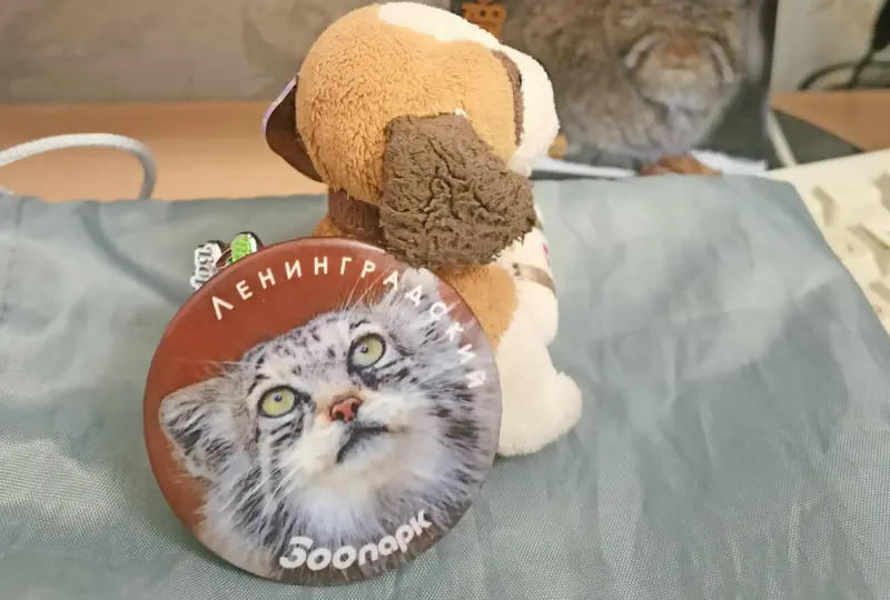 ナミカの写真