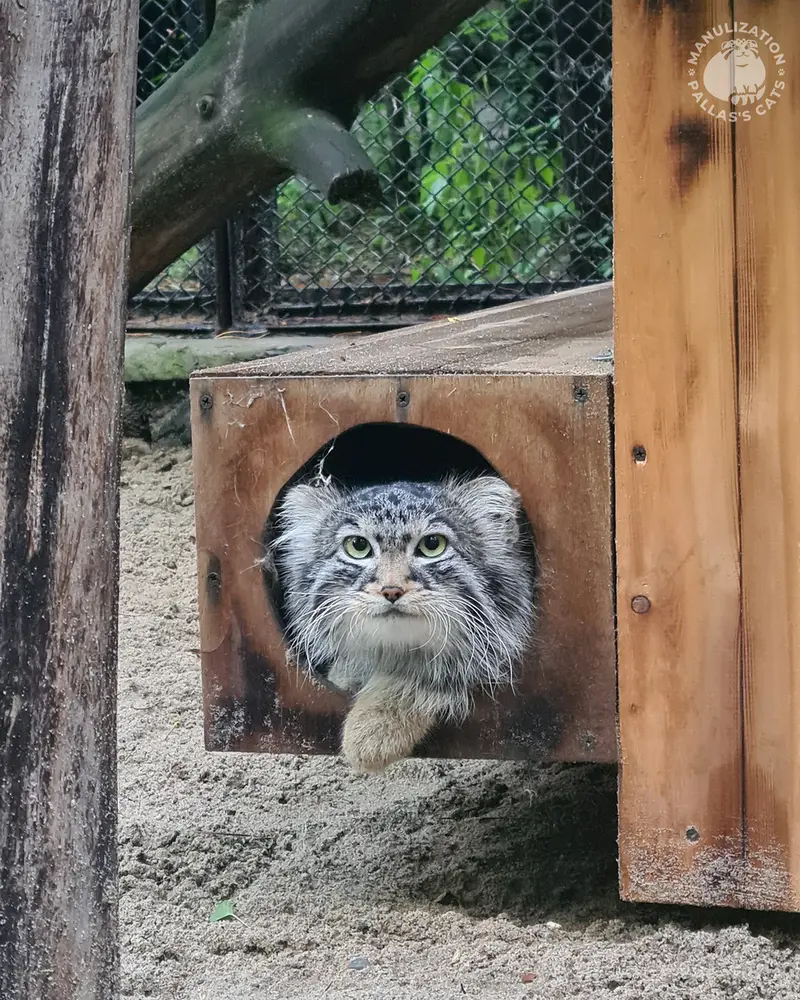 ノヴォシビルスク動物園のラッキーの写真