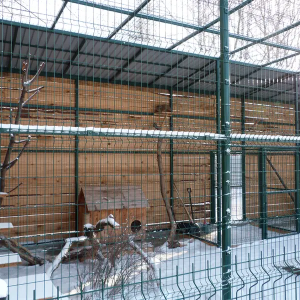 バルナウル動物園「レースナヤ・スカースカ」のペペの写真