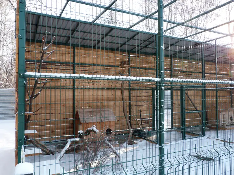 バルナウル動物園「レースナヤ・スカースカ」のペペの写真
