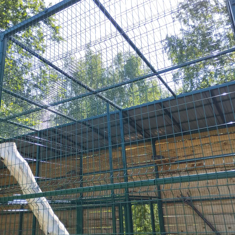 バルナウル動物園「レースナヤ・スカースカ」のチップの写真