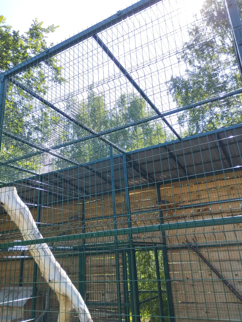 バルナウル動物園「レースナヤ・スカースカ」のチップの写真