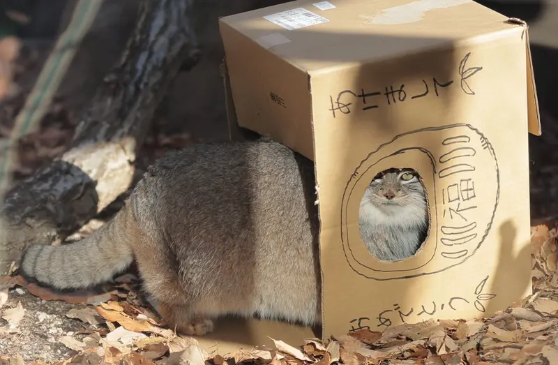 埼玉県こども動物自然公園のオリーヴァの写真