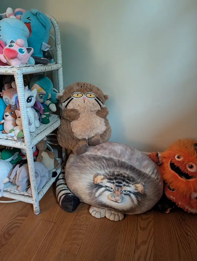Found a new manul plushie on Amazon!