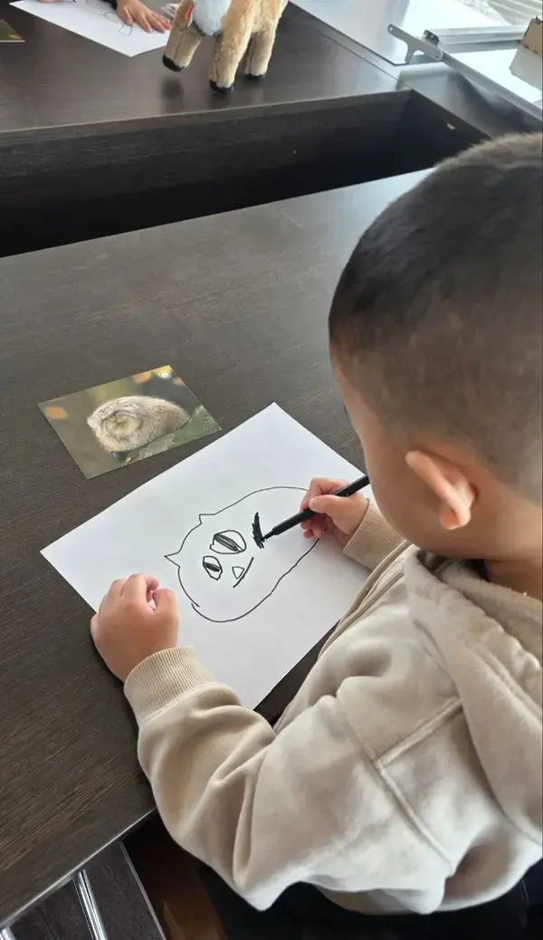 マヌルネコの写真
