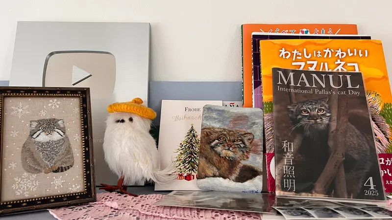 マヌルネコの写真