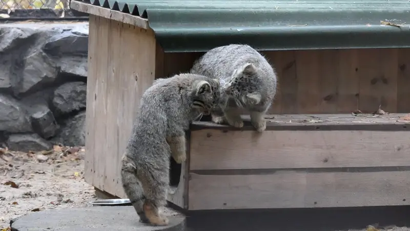 本日のニュース