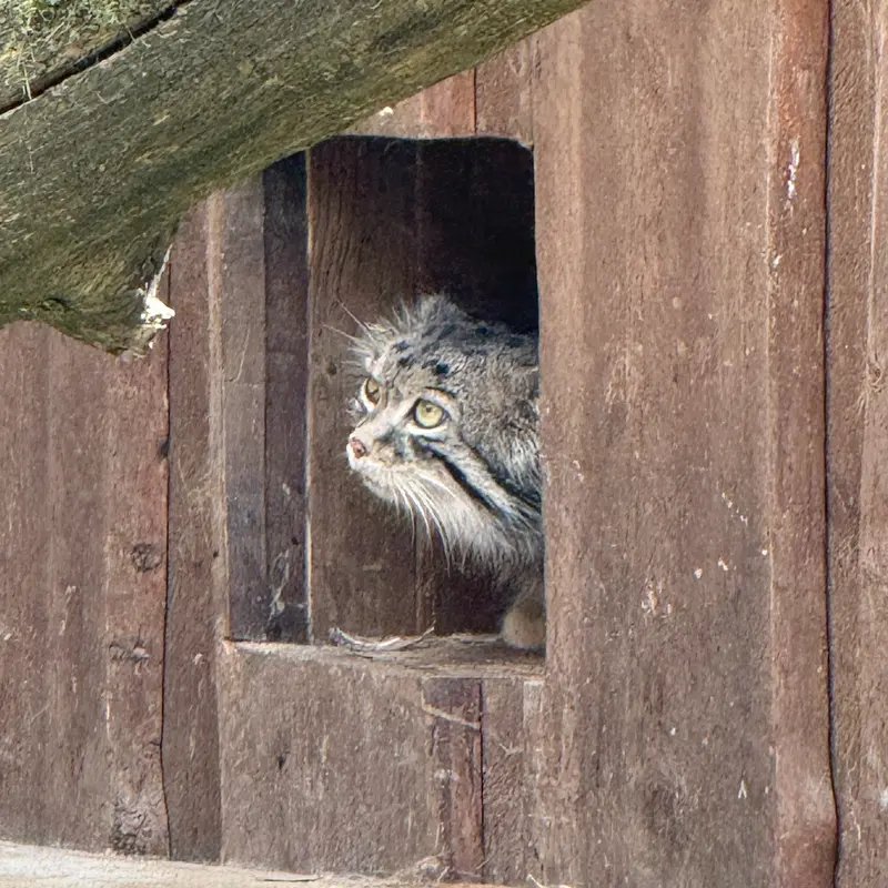 タリン動物園のマーズの写真
