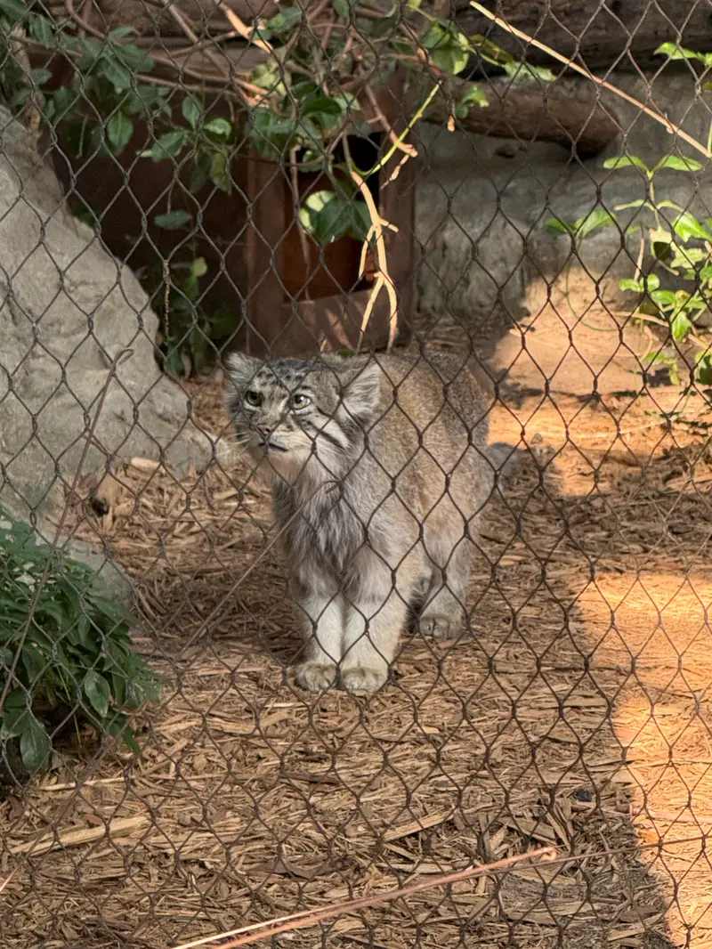 プロスペクト・パーク動物園のバトゥの写真