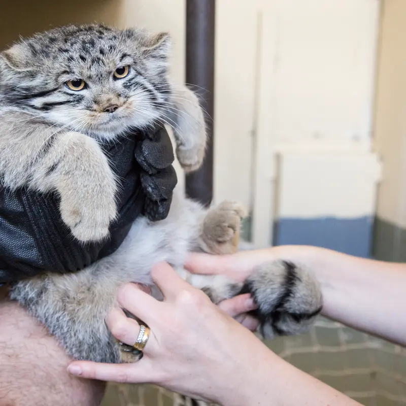 マチルダの写真