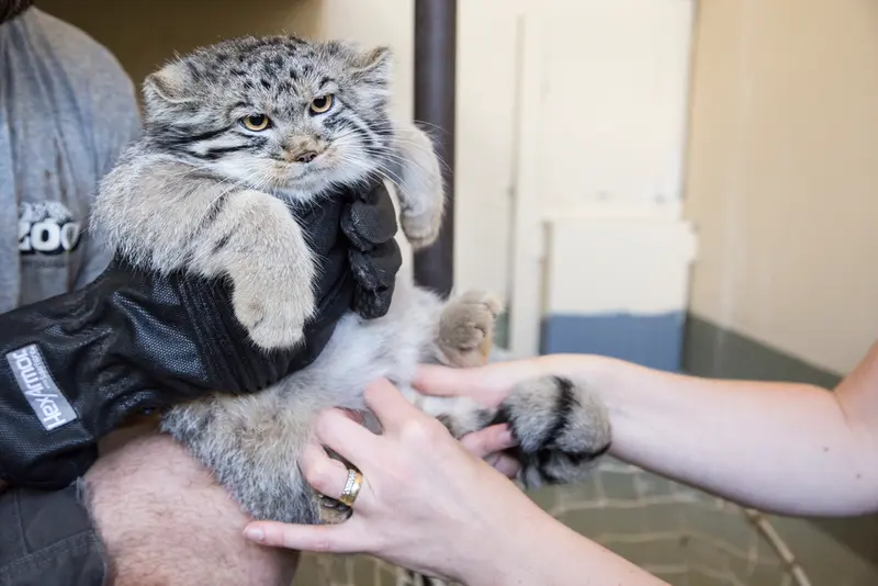 マチルダの写真