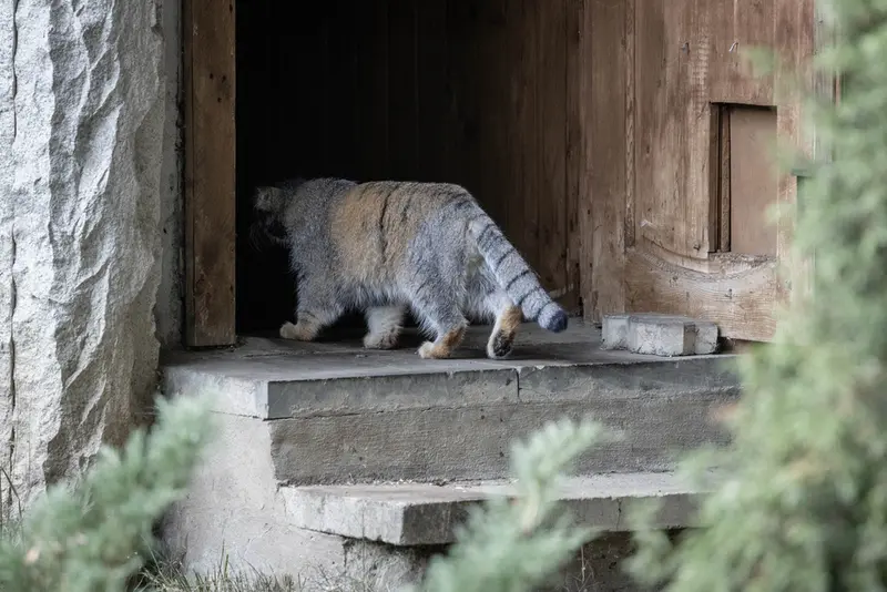 モスクワ動物園のティモフェイの写真