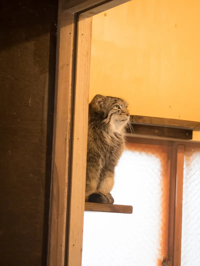埼玉県こども動物自然公園のオトの写真