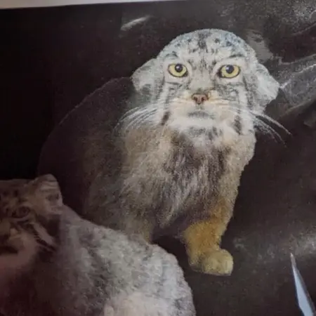 埼玉県こども動物自然公園のセバスチャンとシルヴィの写真