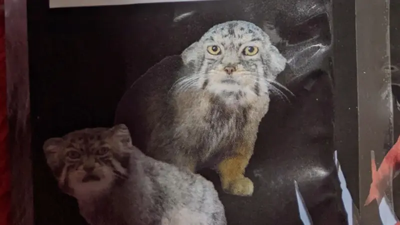埼玉県こども動物自然公園のセバスチャンとシルヴィの写真