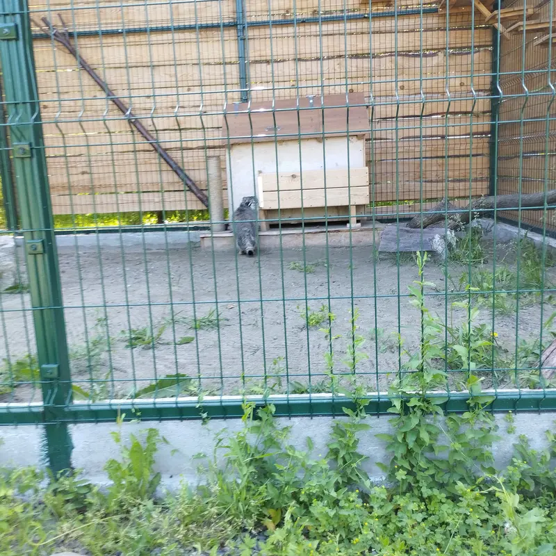 バルナウル動物園「レースナヤ・スカースカ」のチップの写真