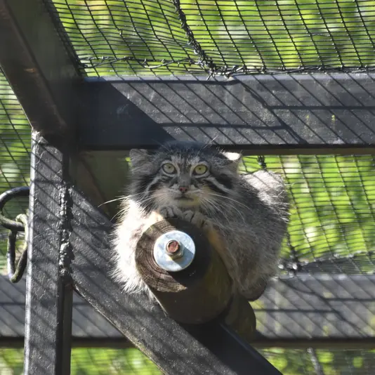 グダニスク動物園のウラの写真