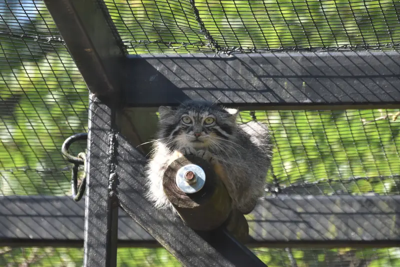 グダニスク動物園のウラの写真