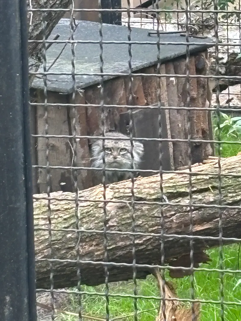 ワルシャワ動物園のジェシーの写真